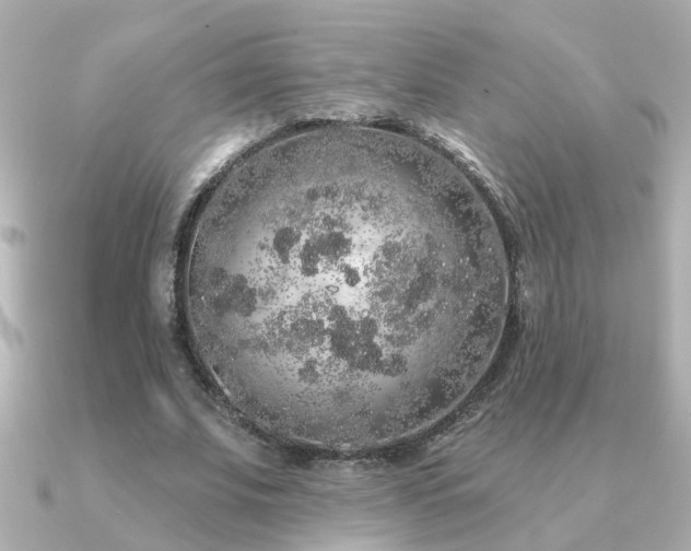 X0000091330679200708101426