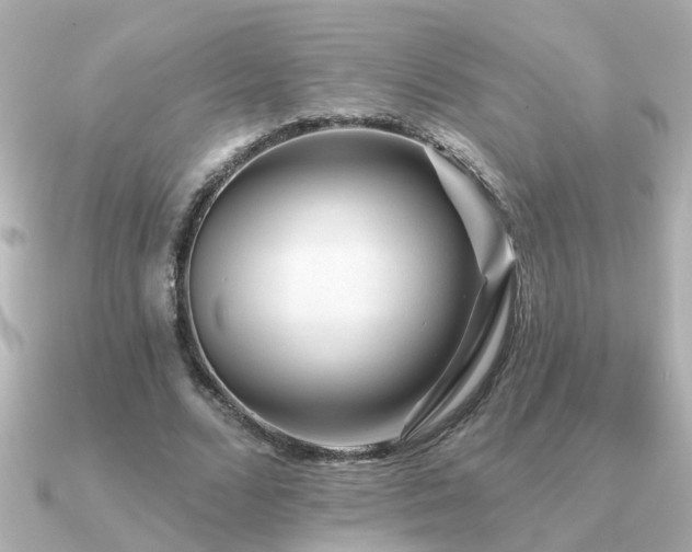 X0000091330680200708101426