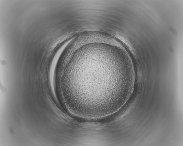 X0000091330681200708101426