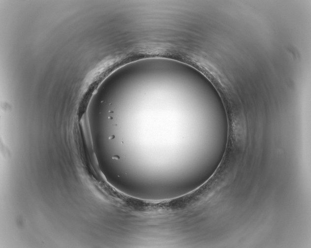 X0000091330682200708101426