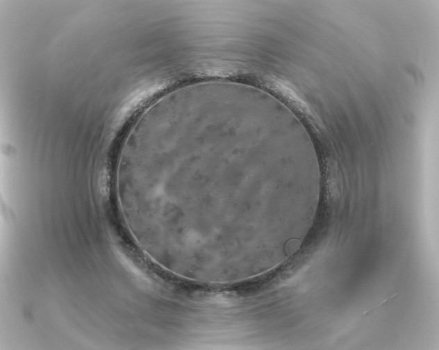 X0000091330683200708101426