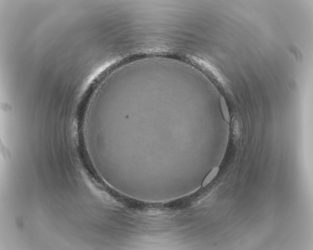 X0000091330684200708101426