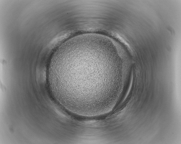 X0000091330685200708101426