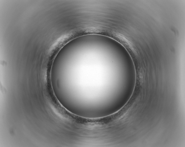 X0000091330686200708101426