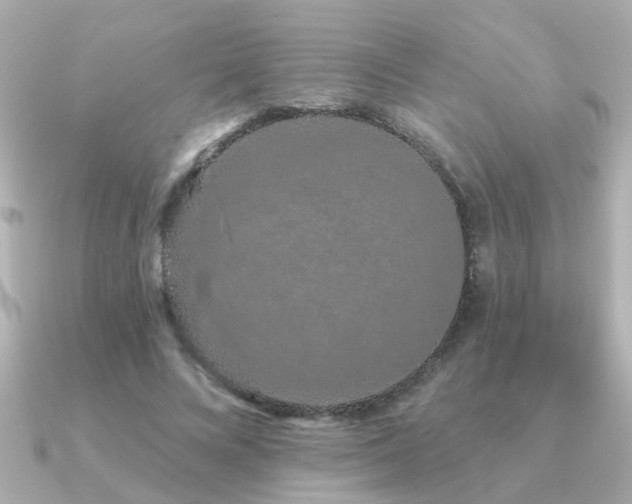 X0000091330688200708101426
