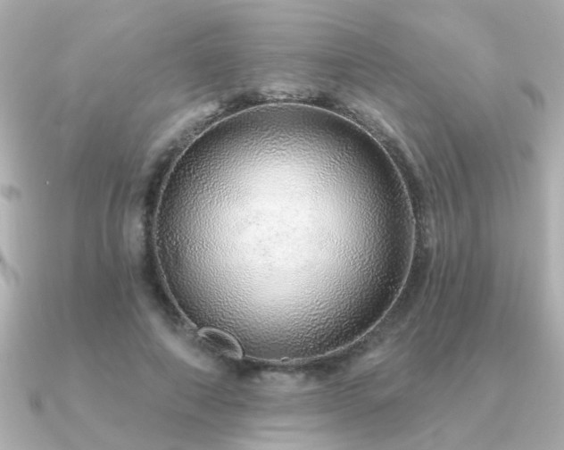 X0000091330690200708101426