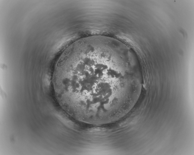 X0000091330691200708101426