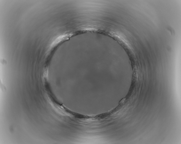 X0000091330692200708101426