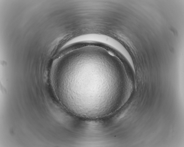 X0000091330693200708101426