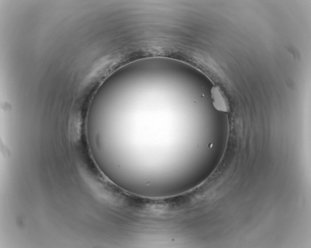 X0000091330694200708101426