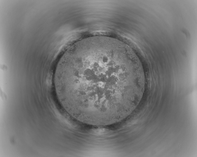 X0000091330695200708101426