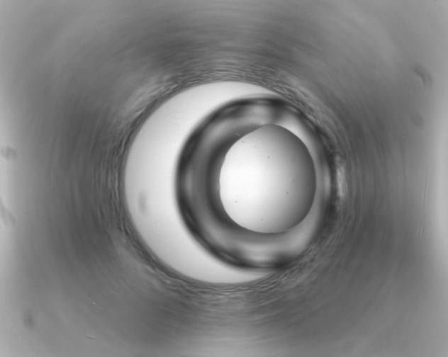 X0000091330696200708101426