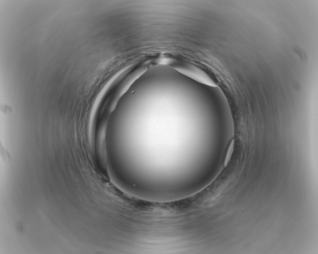 X0000091330697200708101426