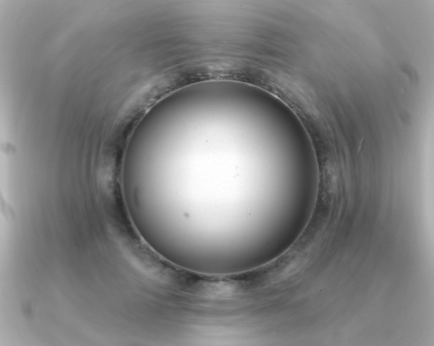 X0000091330698200708101426