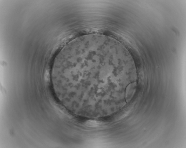 X0000091330699200708101426