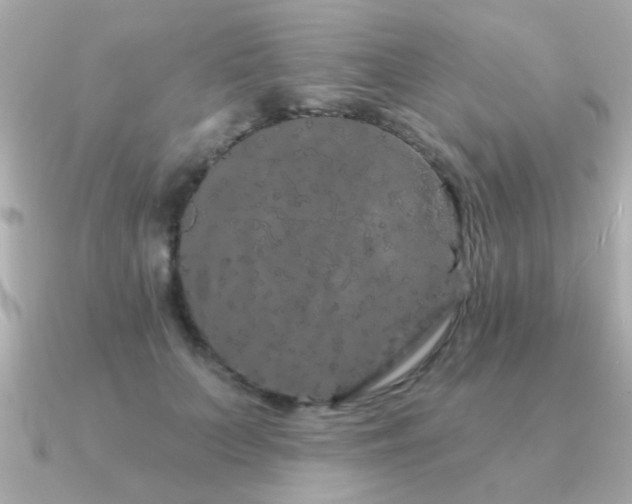 X0000091330703200708101426