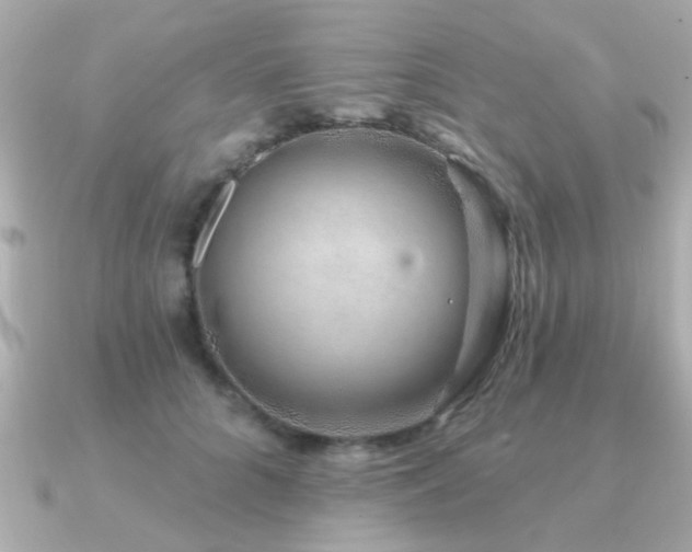 X0000091330704200708101426