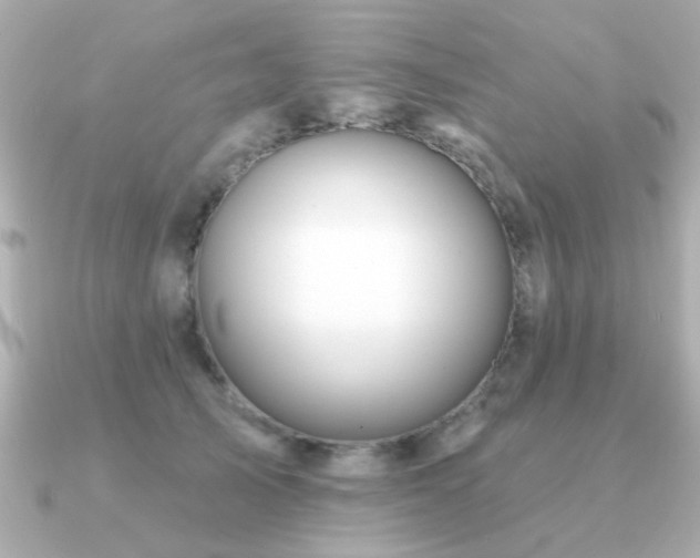 X0000091330705200708101426