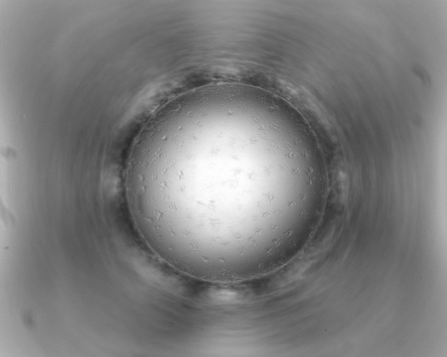 X0000091330706200708101426