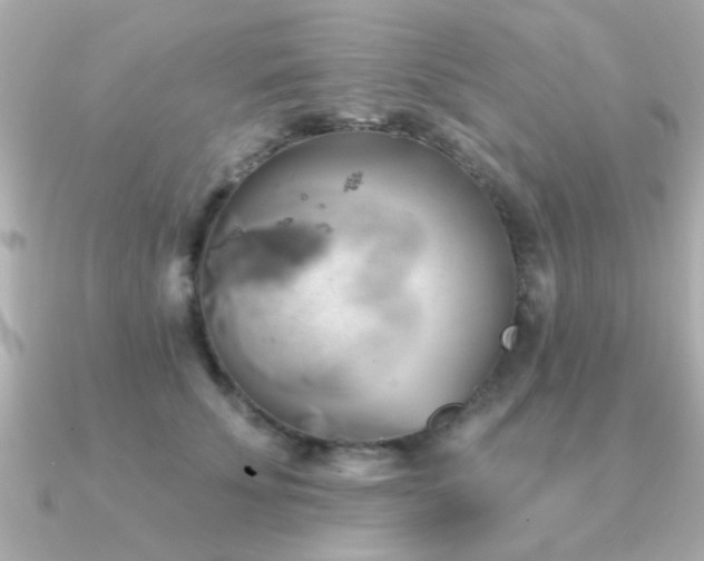 X0000091330707200708101426