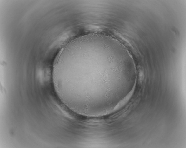 X0000091330708200708101426