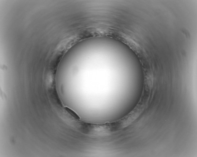 X0000091330709200708101426