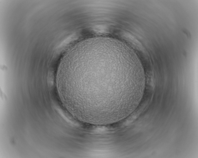 X0000091330710200708101426