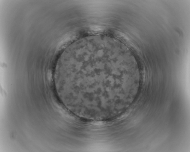 X0000091330711200708101426