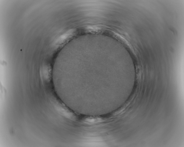 X0000091330712200708101426