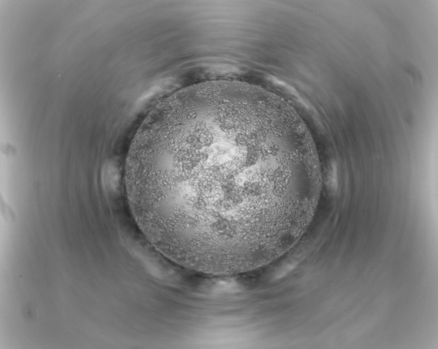 X0000091330715200708101426