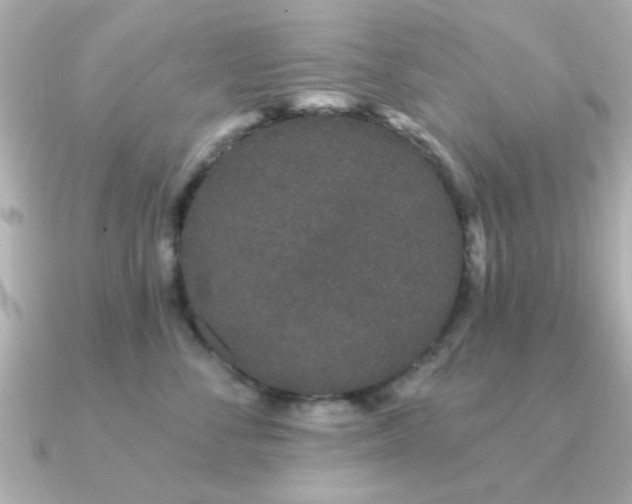 X0000091330716200708101426