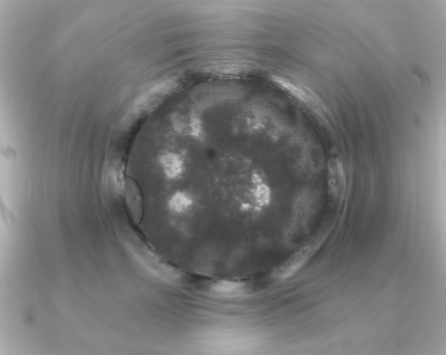 X0000091330718200708101426