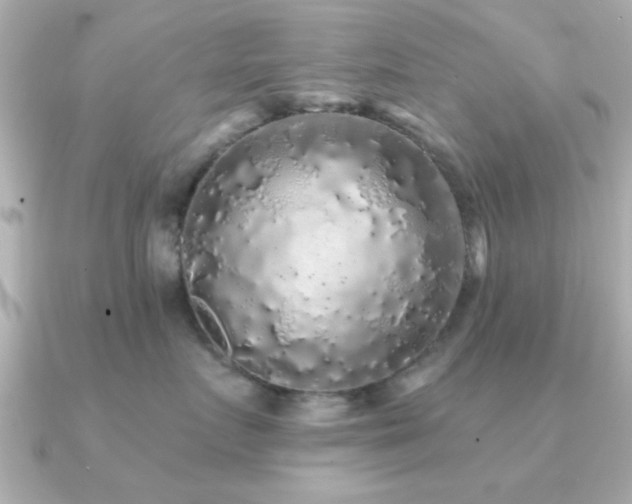 X0000091330719200708101426