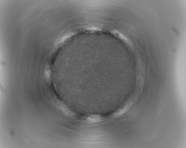 X0000091330720200708101426