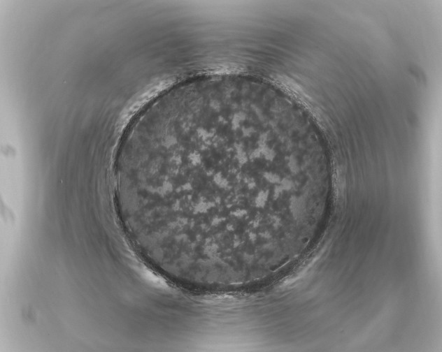 X0000091330721200708101425