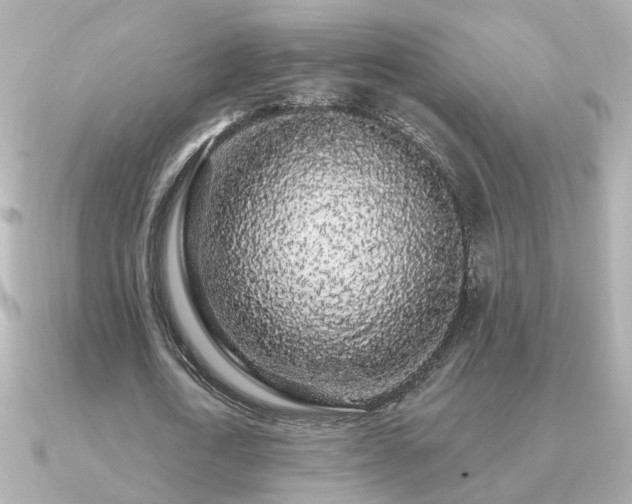 X0000091330722200708101425