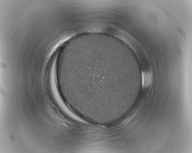 X0000091330723200708101425