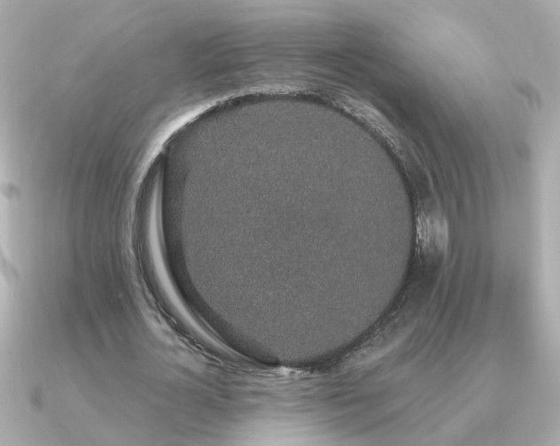 X0000091330724200708101425
