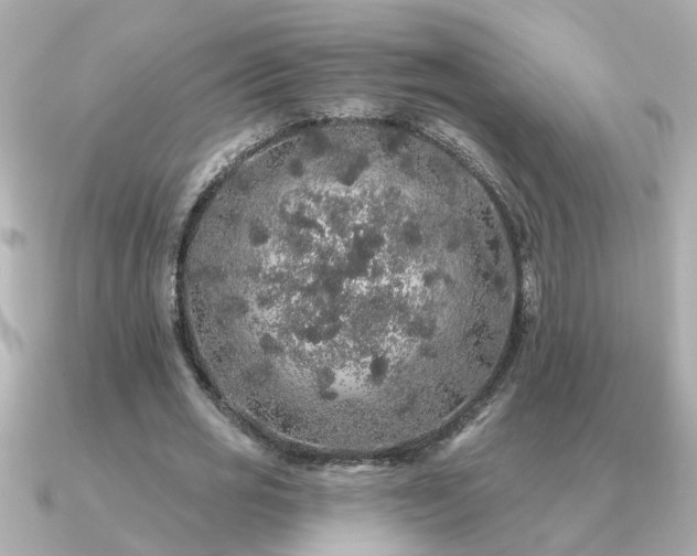 X0000091330725200708101425