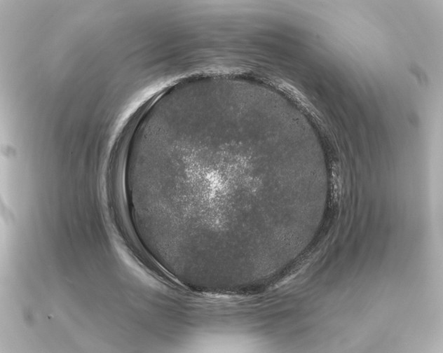 X0000091330726200708101425