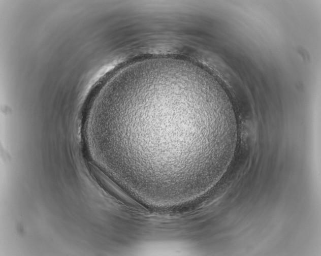X0000091330727200708101425