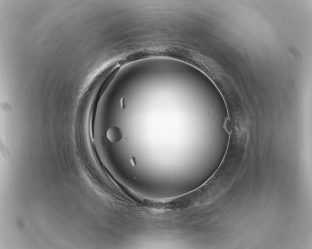X0000091330728200708101425
