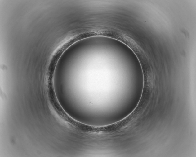 X0000091330730200708101425
