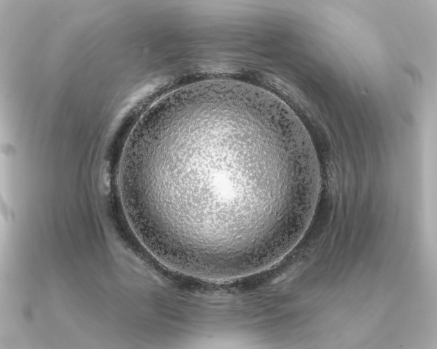 X0000091330731200708101425