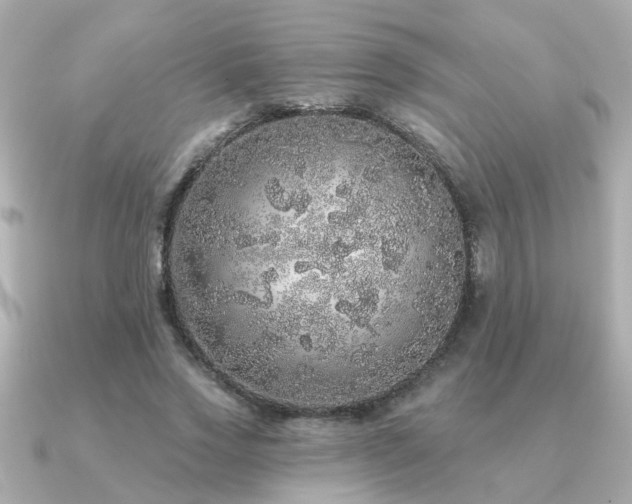 X0000091330733200708101425