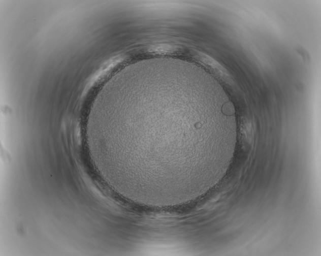 X0000091330734200708101425