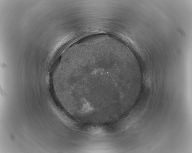 X0000091330735200708101425