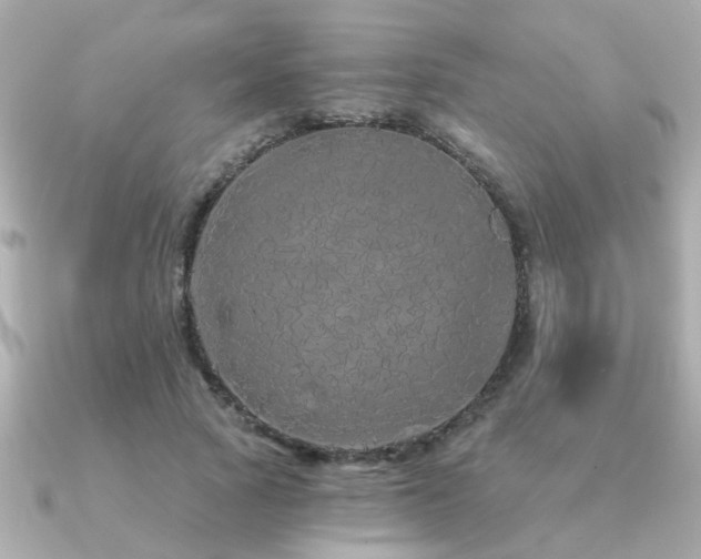 X0000091330737200708101425