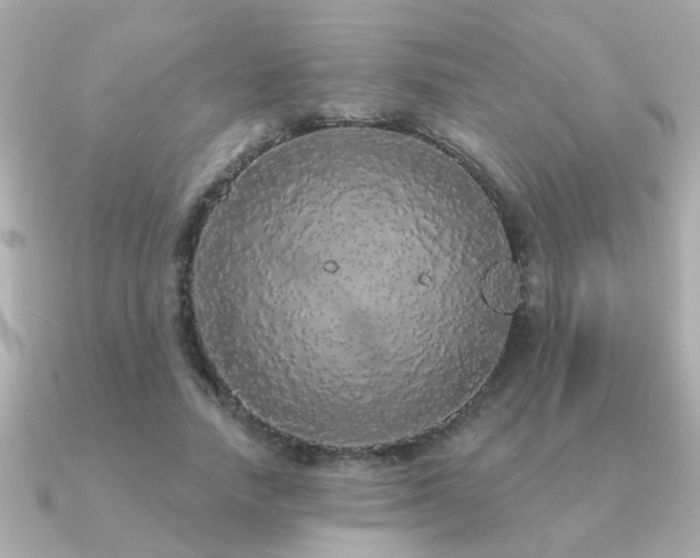 X0000091330738200708101425