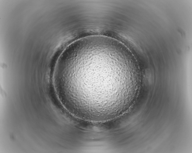 X0000091330739200708101425